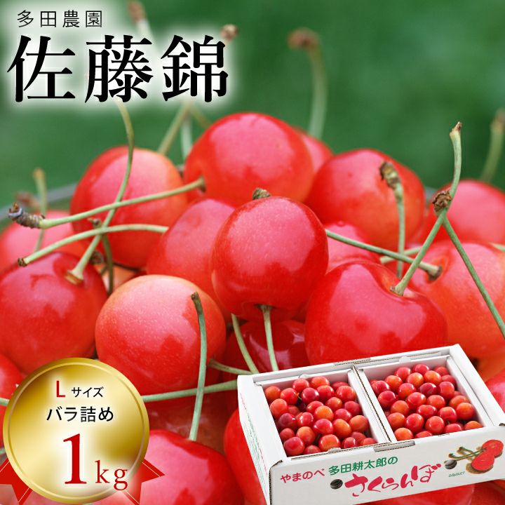 多田佐藤錦1kg本詰