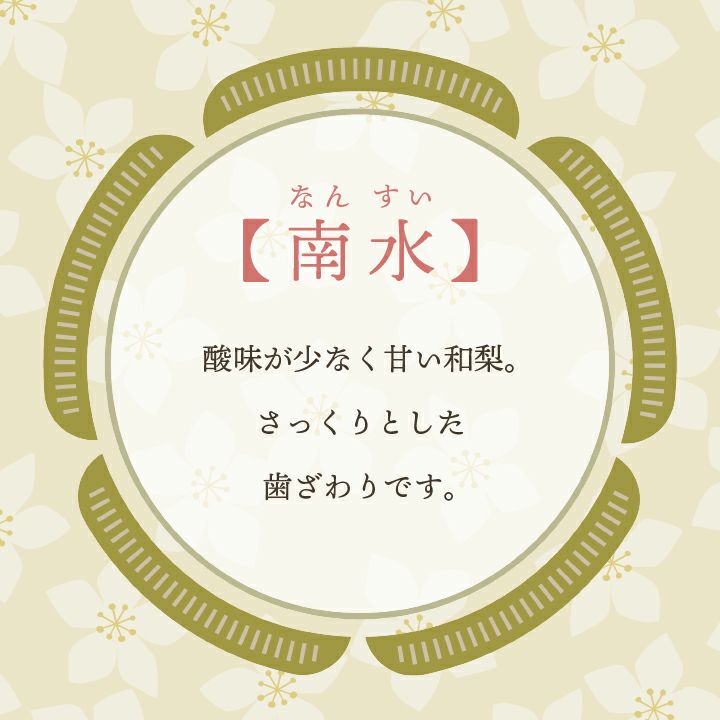 刈屋梨「南水/3kg・6～9玉入（化粧箱入）」【2024年予約販売開始】山形県庄内酒田市刈屋(かりや)産 和梨 南水 3kg 6～9玉 10月上旬発送