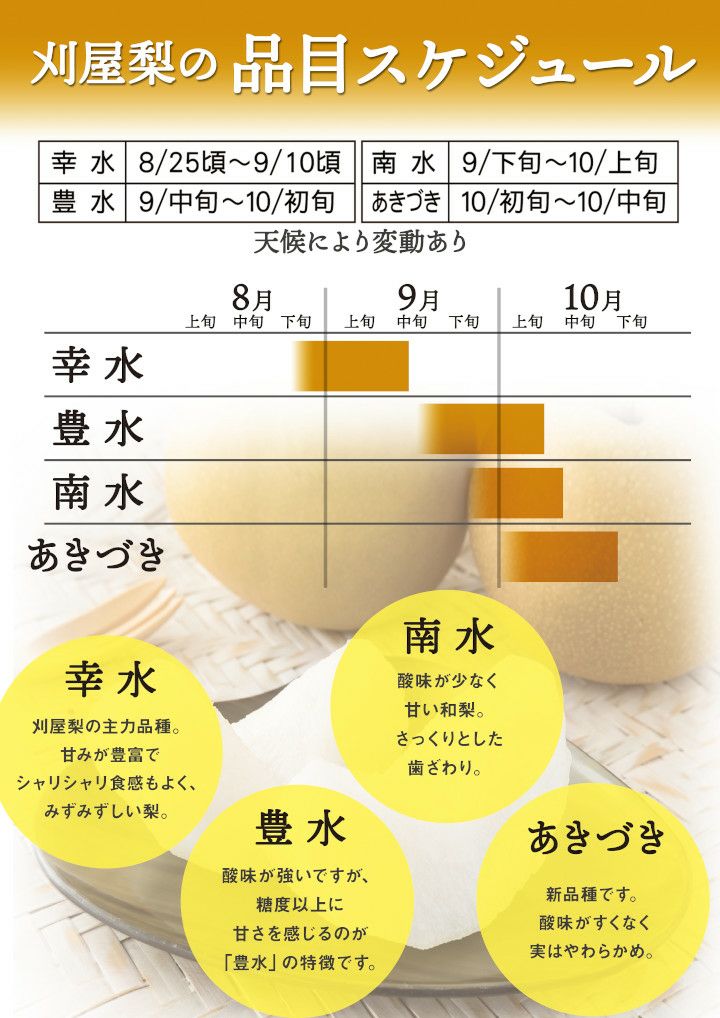 刈屋梨「南水/3kg・6～9玉入（化粧箱入）」【2024年予約販売開始】山形県庄内酒田市刈屋(かりや)産 和梨 南水 3kg 6～9玉 10月上旬発送
