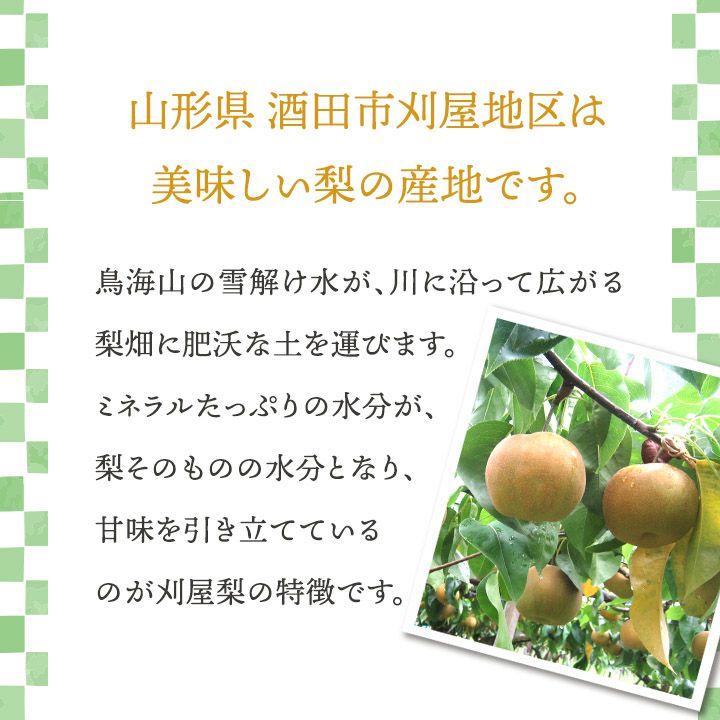 刈屋梨「南水/3kg・6～9玉入（化粧箱入）」【2024年予約販売開始】山形県庄内酒田市刈屋(かりや)産 和梨 南水 3kg 6～9玉 10月上旬発送