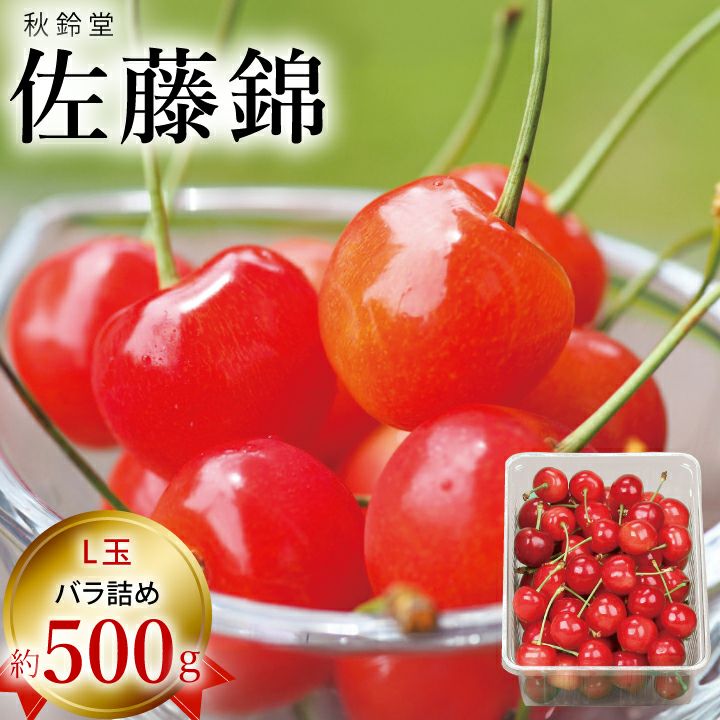 【予約販売限定】秋鈴堂「佐藤錦（約500g/バラ詰め）」(露地栽培)【2025年6月中旬～6月下旬発送予定】　山形県寒河江産　さくらんぼ　L玉バラ詰め　6月中旬〜6月下旬発送　産地直送　お中元　ギフト　一部送料無料