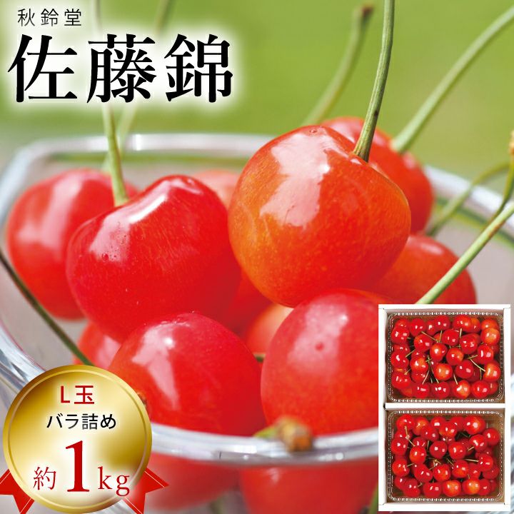 【予約販売限定】秋鈴堂「佐藤錦（約1kg/バラ詰め）」(露地栽培)　【2025年6月中旬～6月下旬発送予定】　山形県寒河江産　さくらんぼ　L玉バラ詰め　6月中旬〜6月下旬発送　産地直送　お中元　ギフト　一部送料無料