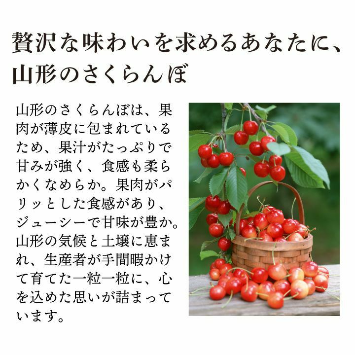 【予約販売限定】秋鈴堂「紅秀峰（360g/バラ詰め）」(露地栽培)　【2025年7月上旬～発送予定】　山形県寒河江産　さくらんぼ　L~2L玉バラ詰め　7月上旬発送　産地直送　お中元　ギフト　一部送料無料