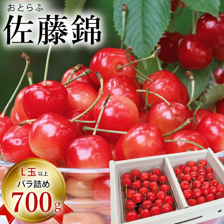 【予約販売限定】おとらふ「佐藤錦（700g/バラ詰め）」【2025年6月中旬～6月下旬発送予定】　山形県寒河江市　さくらんぼ　L玉以上バラ詰め　6月中旬～6月下旬発送　産地直送　お中元　ギフト　一部送料無料