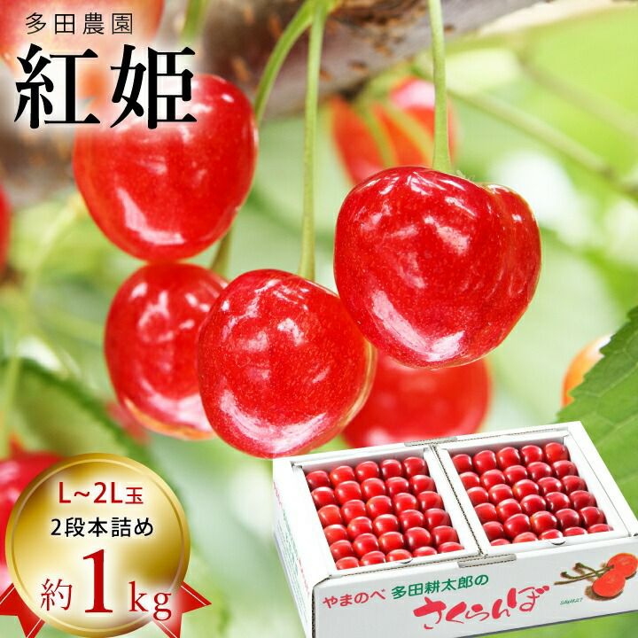 【予約販売限定】多田農園「紅姫（約1kg/本詰め）」(露地栽培)　【2025年7月上旬～発送予定】　山形県山辺産　さくらんぼ　L～2L玉本詰め　7月上旬発送　産地直送　お中元　ギフト　一部送料無料