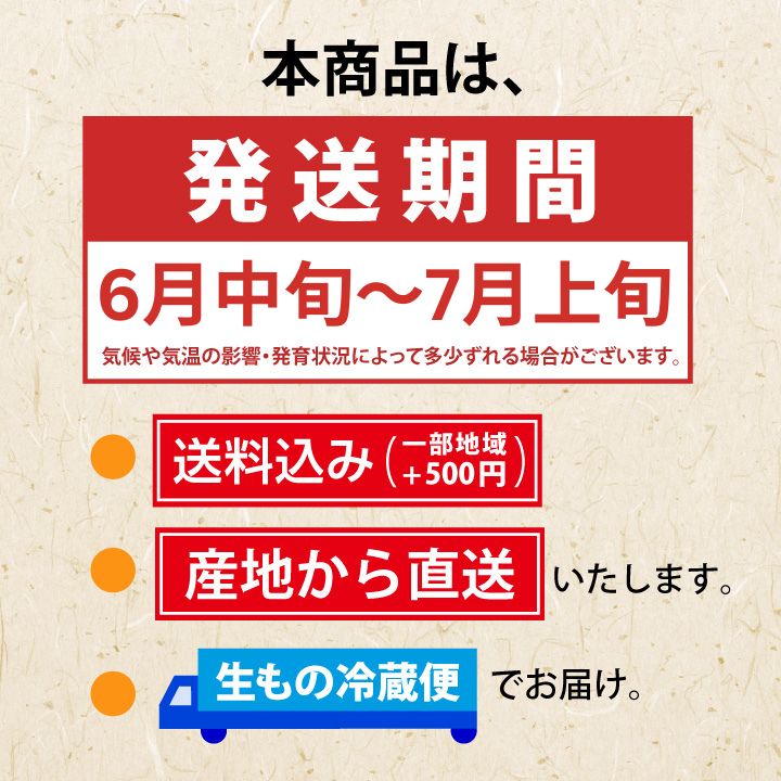 【予約販売限定】秋鈴堂「佐藤錦（360g/バラ詰め）」(露地栽培)【2025年6月中旬～6月下旬発送予定】　山形県寒河江産　さくらんぼ　LM混　6月中旬～6月下旬発送　産地直送　お中元　ギフト　一部送料無料