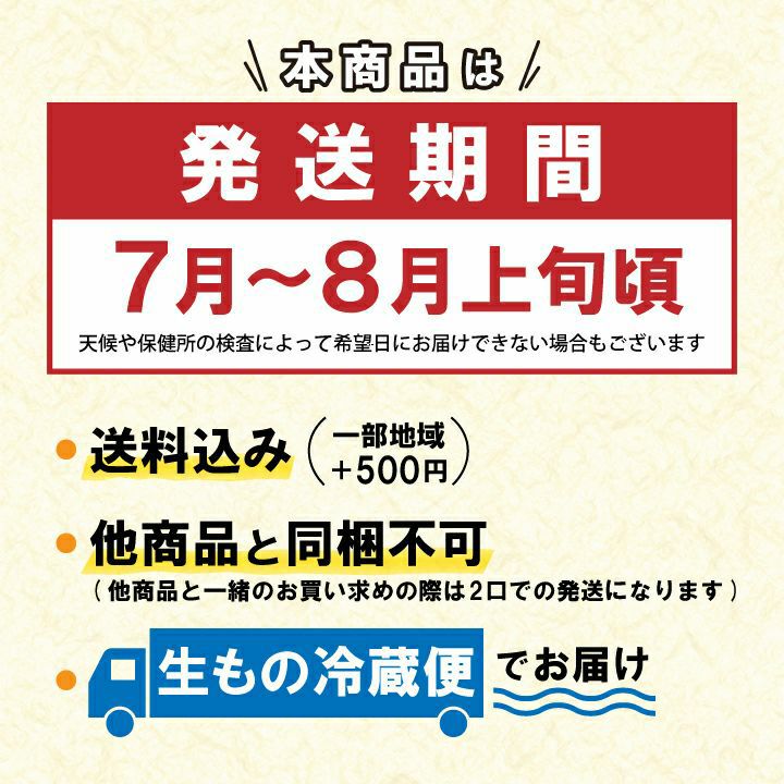 【2025年予約販売商品！】天然岩ガキ「中/15個入」（2025年7月～8月上旬発送予定）山形県　菅原鮮魚　庄内産　中サイズ　岩ガキ　生食用　お取り寄せ　一部送料無料