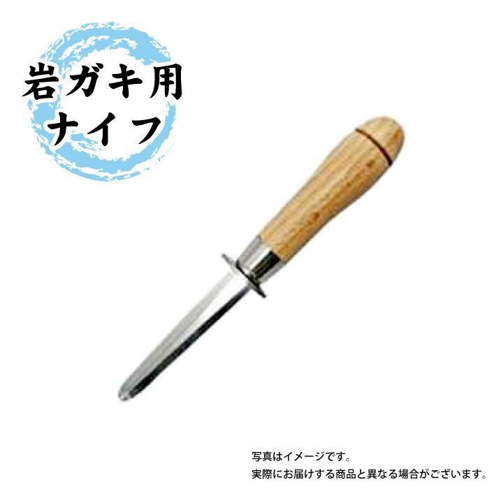 【2025年予約販売商品！】天然岩ガキ「中/15個入」（2025年7月～8月上旬発送予定）山形県　菅原鮮魚　庄内産　中サイズ　岩ガキ　生食用　お取り寄せ　一部送料無料