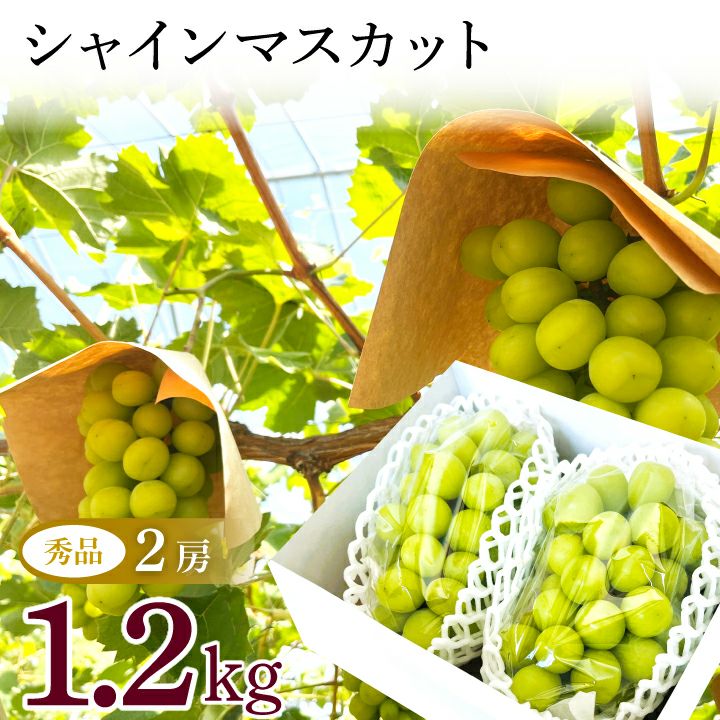 2025年予約販売開始】おとらふ「シャインマスカット（秀品/2房 1.2kg