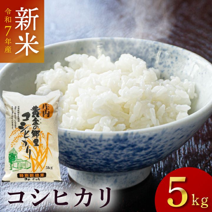 令和6年山形県庄内産 新米 コシヒカリ 20kg