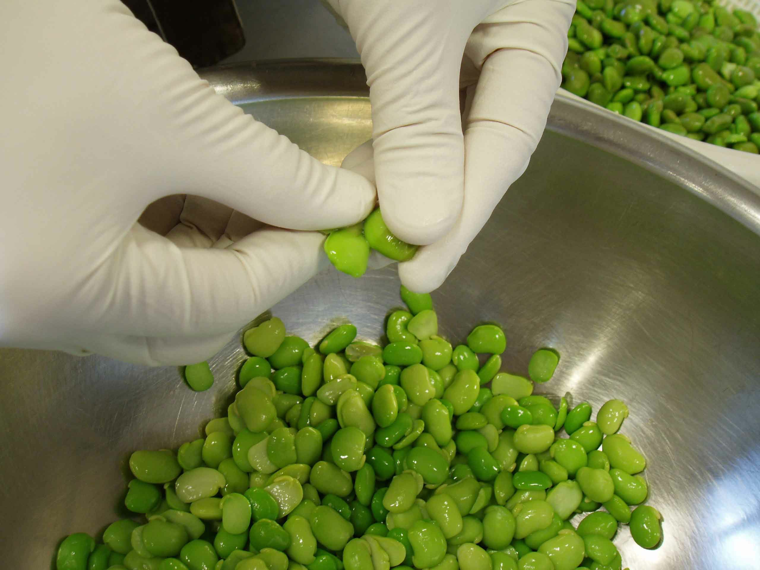  「だだちゃ豆おこわ〈冷凍〉4ヶ入」 70g×4 佐徳 庄内地方